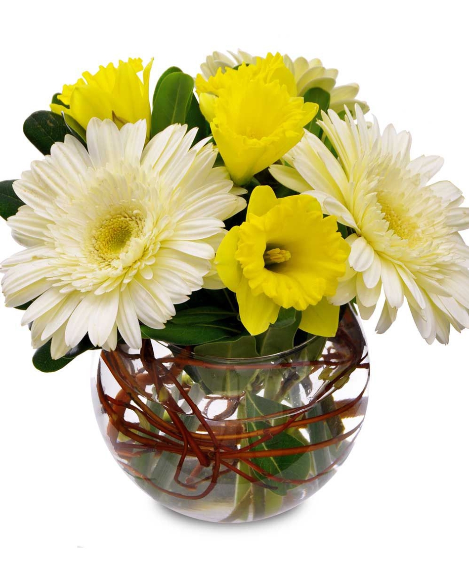 Image Alternative text