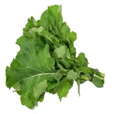 Image Alternative text